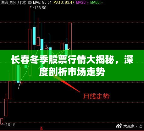 长春冬季股票行情大揭秘，深度剖析市场走势