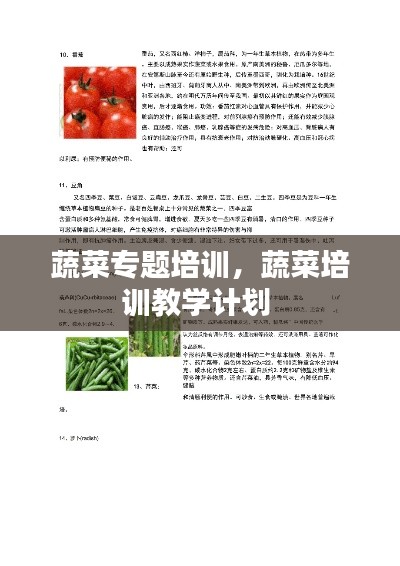 蔬菜专题培训，蔬菜培训教学计划 