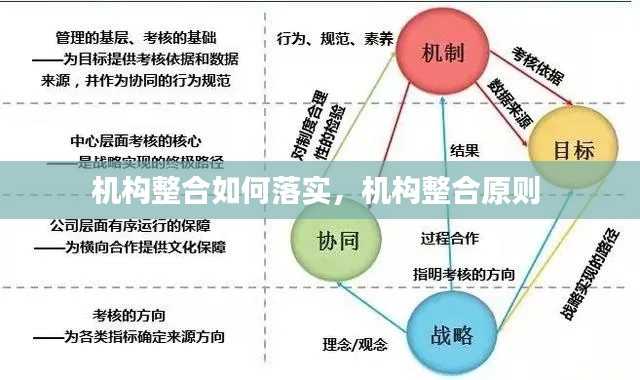 机构整合如何落实，机构整合原则 