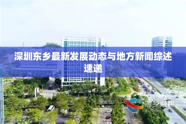 深圳东乡最新发展动态与地方新闻综述速递