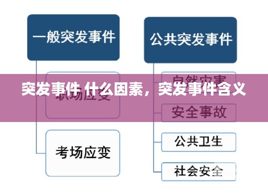 突发事件 什么因素，突发事件含义 