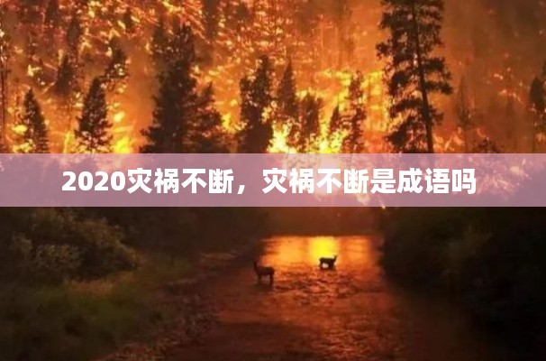 2020灾祸不断，灾祸不断是成语吗 