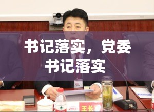 书记落实，党委书记落实 