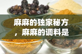 麻麻的独家秘方，麻麻的调料是叫什么 