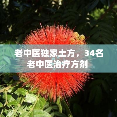 老中医独家土方，34名老中医治疗方剂 